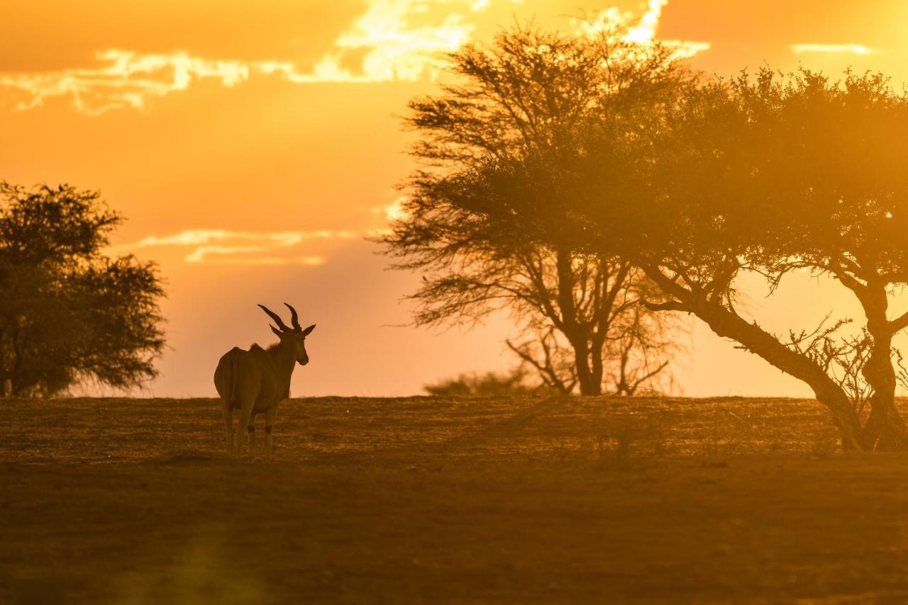 Gondwana Kalahari Anib Lodge Hardap Εξωτερικό φωτογραφία